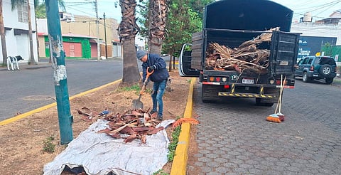 Realizan jornada de limpieza integral en la colonia Cosmos