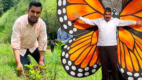 Hijo de Homero Gómez convoca a reforestar bosque que habita la mariposa Monarca