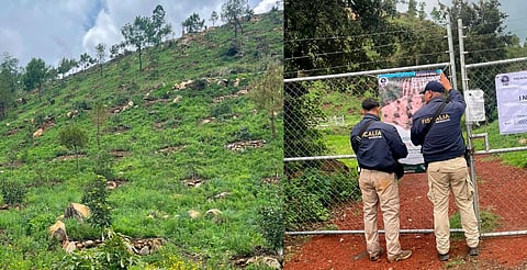 Ejecuta FGE cateo en predio relacionado en delitos contra el ambiente