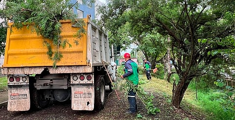Gobierno Municipal y vecinos realizan limpia en El Vergel