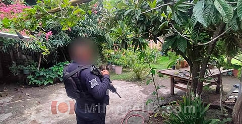 Enjambre de abejas deja 2 personas heridas en Cuitzeo