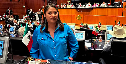 Designan a Celeste Ascencio presidenta de la Comisión de Derechos Humanos en el Senado