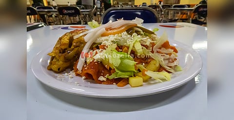 Enchiladas Placeras con Pollo