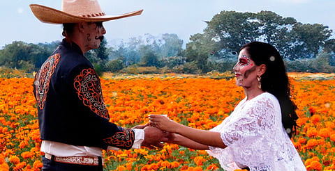 Ya hay fecha para la Fiesta de la Flor de Cempasúchil, en Tarímbaro