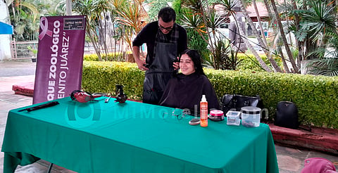 Realizan campaña de donación de cabello para pelucas oncológicas en el zoo de Morelia