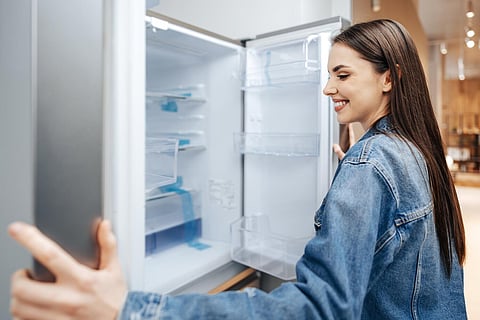 ¿Cómo se logra una mayor eficiencia energética en los electrodomésticos? Un análisis tecnológico