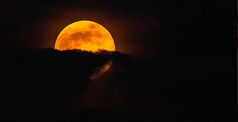 ¡No te pierdas la última Superluna del año! Se verá esta noche