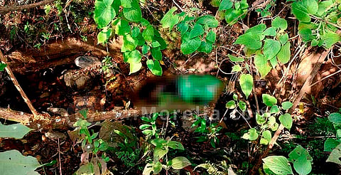 Michoacán: lo hallan muerto en un barranco luego de desaparecer tras ir a un baile