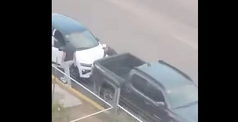 En Michoacán, robar autopartes tiene penas más severas que cometer crueldad animal