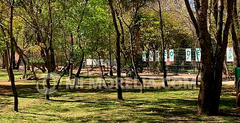 Rehabilitación del Bosque Cuauhtémoc iniciaría a finales de 2025: edil de Morelia