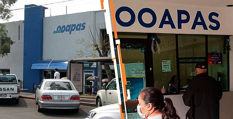 Más de 52 mil usuarios realizaron el pago anual, cifra record en el Organismo