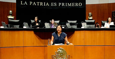 La justicia no puede detenerse: Celeste Ascencio Ortega