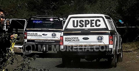 Tiroteo entre criminales y soldados deja tres gatilleros abatidos en Tierra Caliente, Michoacán