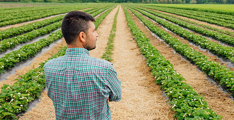 Reunión agropecuaria busca fortalecer movilización de productos en la Región Centro: Sader