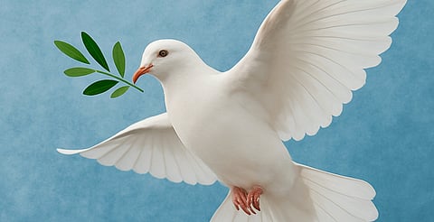 Obispos de México llaman a fortalecer la familia y promover la paz ante violencia creciente