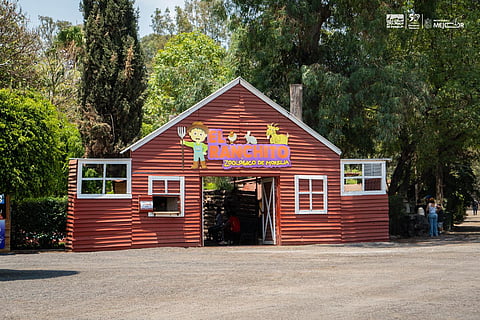 Diversión educativa: El Ranchito del Zoológico de Morelia te espera