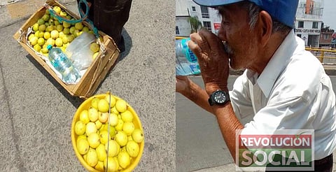 Piden ayuda para que señor venda todas sus guayabas, en Morelia