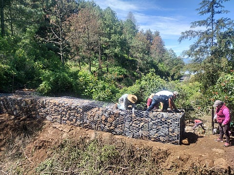 Agrosano refuerza conservación del lago de Pátzcuaro y sus manantiales: Sader