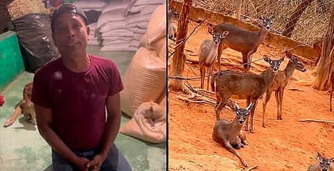 "Soy muy feliz"; Chago Gallo anuncia acuerdo con autoridades por bienestar de sus venados