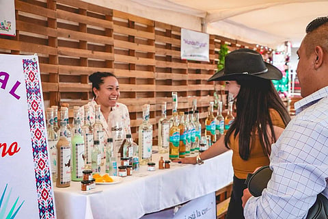 Este domingo último día de la Expo Feria en Ario de Rosales