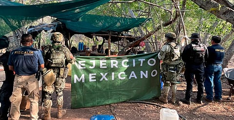 Desmantelan narcolaboratorio en Huetamo con más de 150 tambos químicos