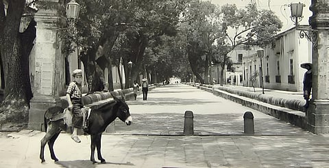 Anónimo (s./f.) "La Calzada"