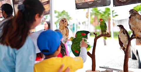 ¿Sin planes para las vacaciones? Morelia ofrece cursos de verano para niñas, niños y adolescentes