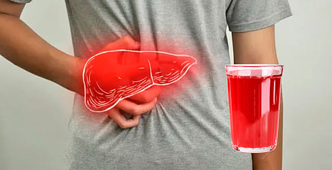 El hígado es clave para eliminar toxinas, regular el azúcar y producir proteínas esenciales