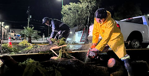 Lluvias fuertes causan caída de árbol y estructura metálica en Morelia