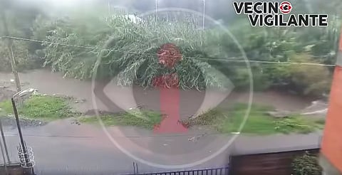 VIDEO: Se desborda río Cupatitzio en Uruapan, Michoacán