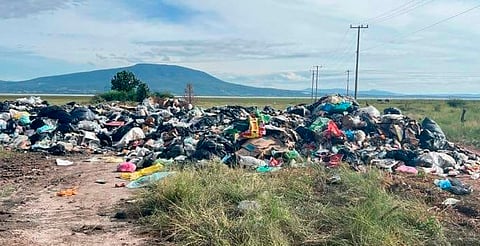 Detectan basurero a la orilla del Lago de Cuitzeo; interviene Profepa