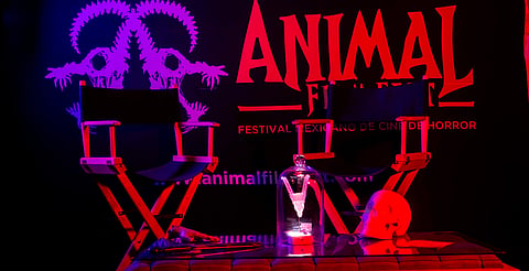 Luces, gritos… ¡acción! Estos fueron los mejores cortometrajes del ANIMAL Film Fest 2025