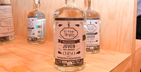 Michoacán, único estado con tres Denominaciones de Origen en bebidas: Sedeco