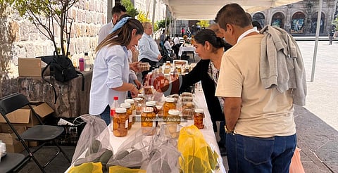 Expo Agro Morelia 2025 reúne productos elaborados por estudiantes y brigadas de la DGETAyCM