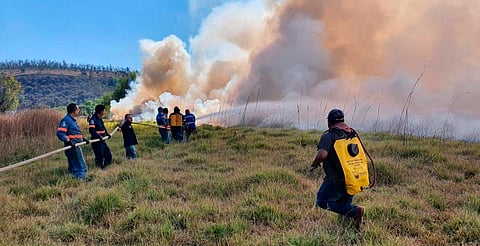 Incendio afecta el humedal de La Mintzita; llaman a reforzar la prevención