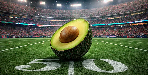 Super Bowl impulsa exportación récord de aguacate michoacano: más de 130 mil toneladas