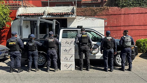 En cajas de paquetería: decomisan 25 kilos de marihuana en la Central de Autobuses de Uruapan