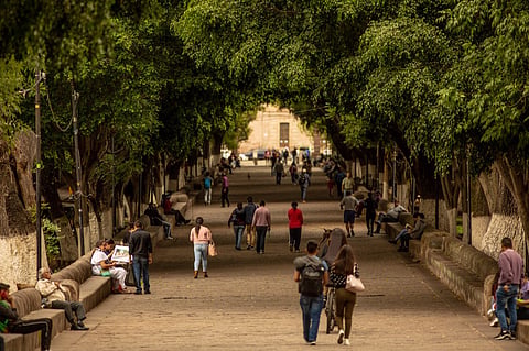 Habrá callejoneada por lo fresco de los árboles esta tarde en calzada de Morelia