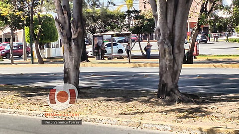 Rutas de transporte en Morelia suspenden operaciones temporalmente