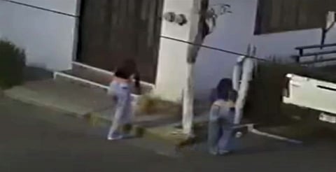 VIDEO: critican a chavas por llevarse a
perrito en Morelia; caso divide opiniones