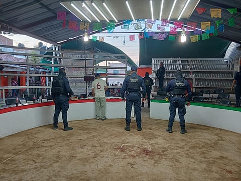 SSP desactiva 9 palenques clandestinos en lo que va de 2026