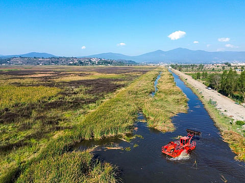 Avanza limpieza del canal de Jarácuaro para mejorar conexión con el lago de Pátzcuaro