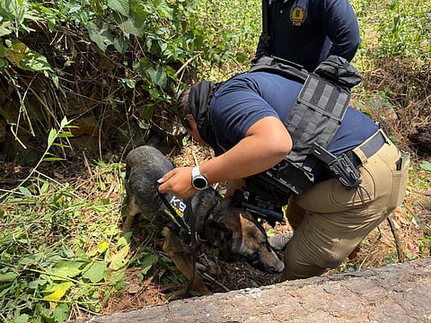 Operativo en Ziracuaretiro revela restos humanos en zona rural