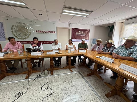 Pagan más de 374 mdp a productores de maíz blanco en Michoacán