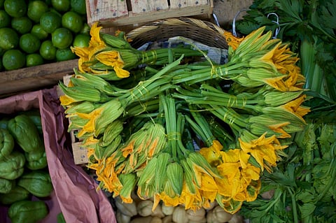¿Sabías que estas flores se comen? Conoce 5 opciones mexicanas