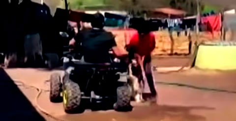 Video desata indignación: hombre mata a perro en Guerrero