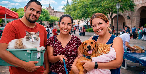 Habrá esterilización y vacuna antirrábica gratuita en Tarímbaro; te contamos cómo participar