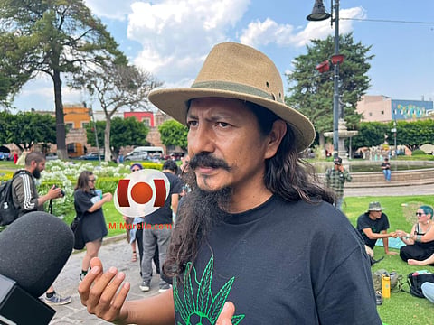 Autoconsumo de cannabis en Michoacán suma más de 300 amparos, asegura colectivo
