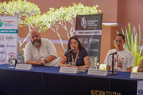 Fiscalía de Michoacán reporta cerca de 500 carpetas por maltrato animal