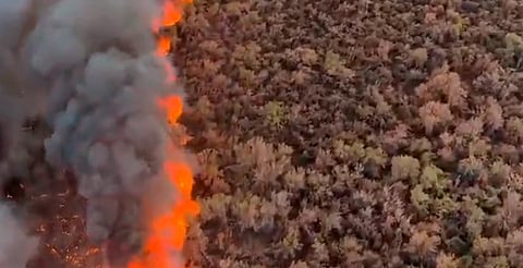 Fuego en Arizona sigue activo: más de 400 hectáreas afectadas